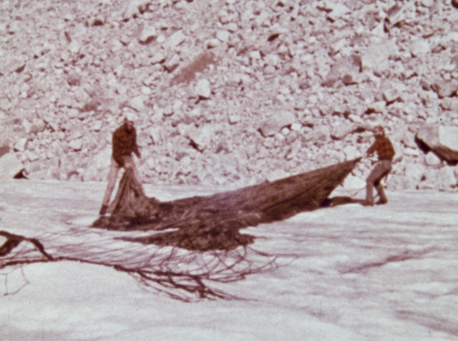 Harrison 6 from McCall film