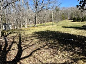 20240419_182322524_iOS