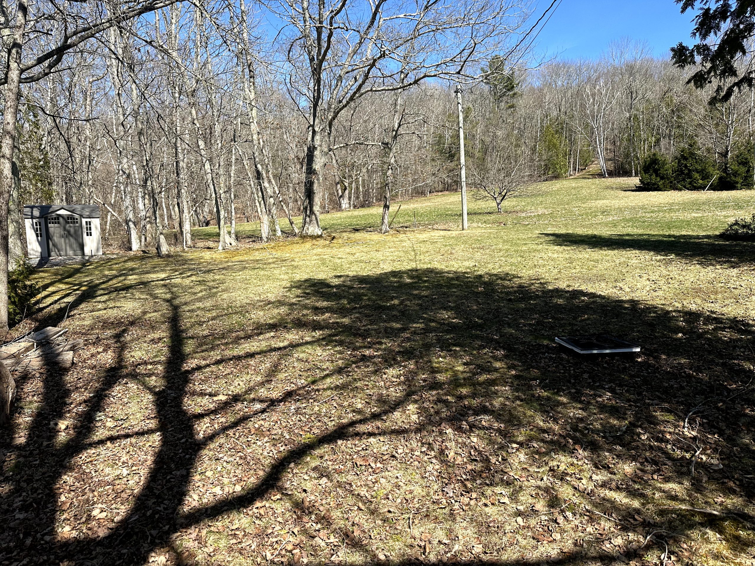 20240419_182322524_iOS