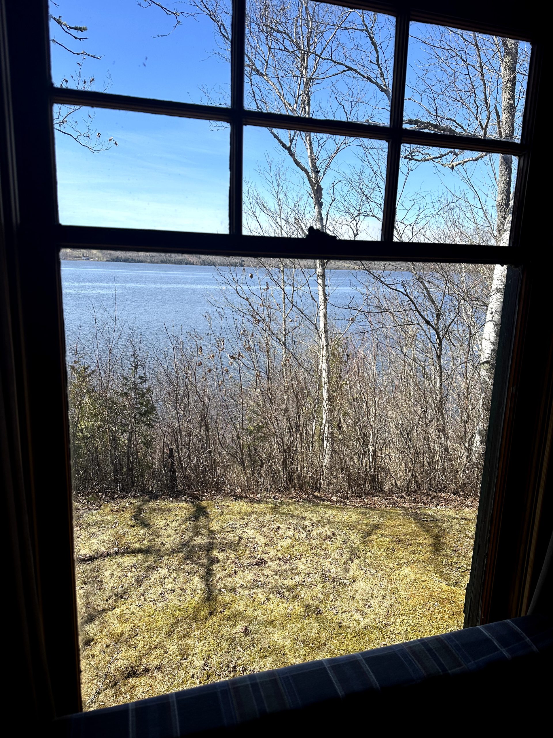 20240419_182931529_iOS