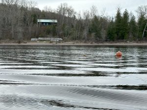 20240508_150329200_iOS