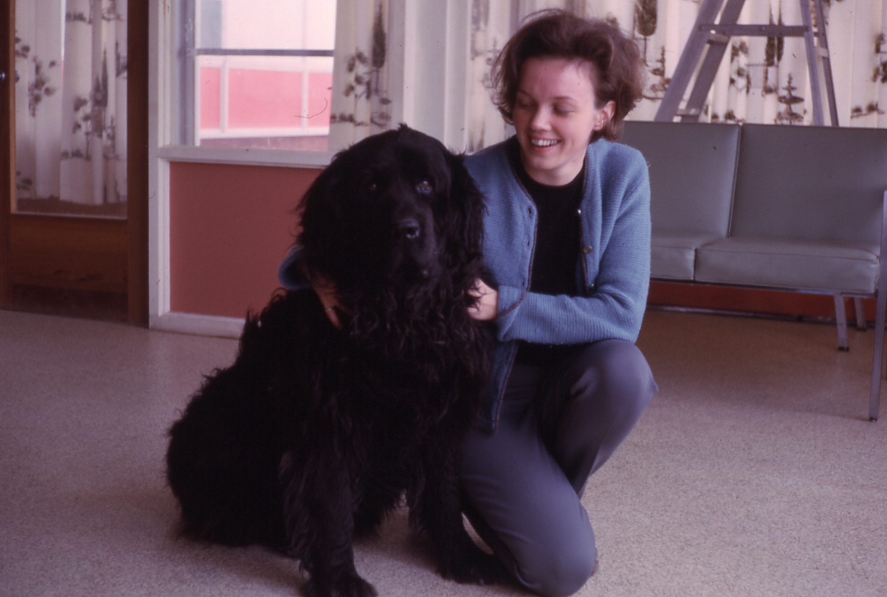 1966 10 #071 Newfoundland Dog and Sue