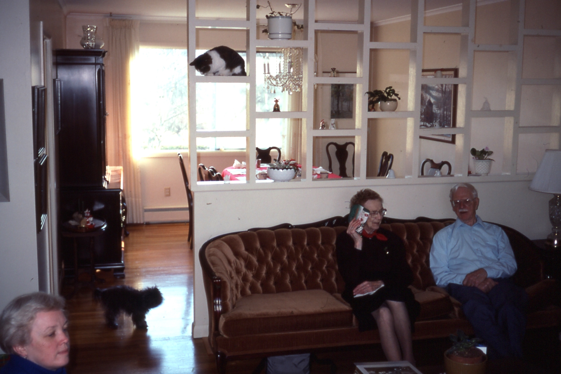 1990 12 #002 Sue, Misty, Henri, Nana, poppie