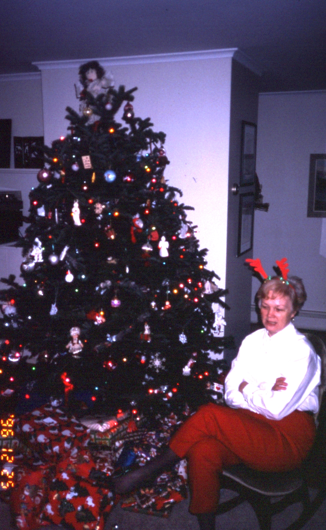 1996 12 #007 Sue - Christmas Tree