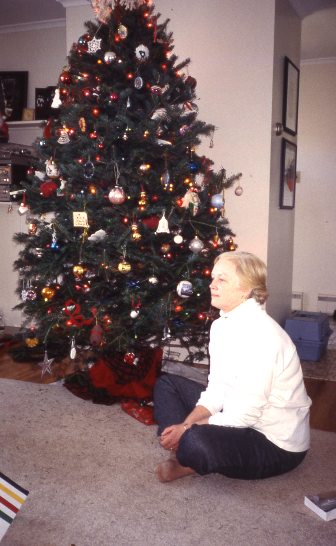 1998 12 #011 Sue - Christmas