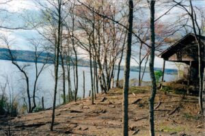 2003 Clearing at the cottage