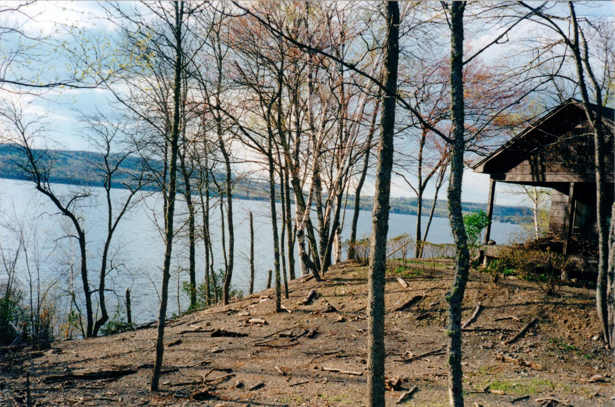 2003 Clearing at the cottage